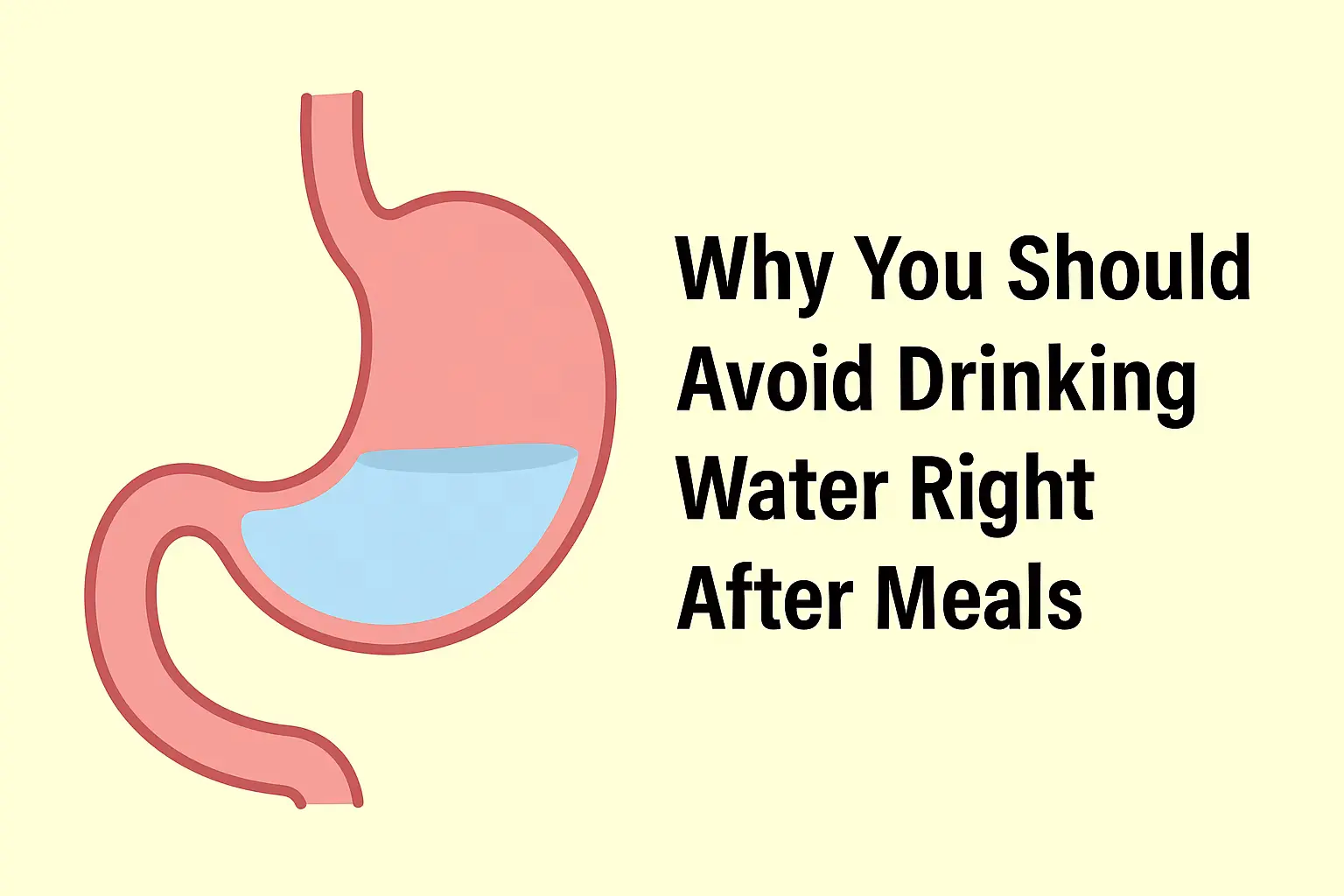 Avoid Drinking Water After Meal